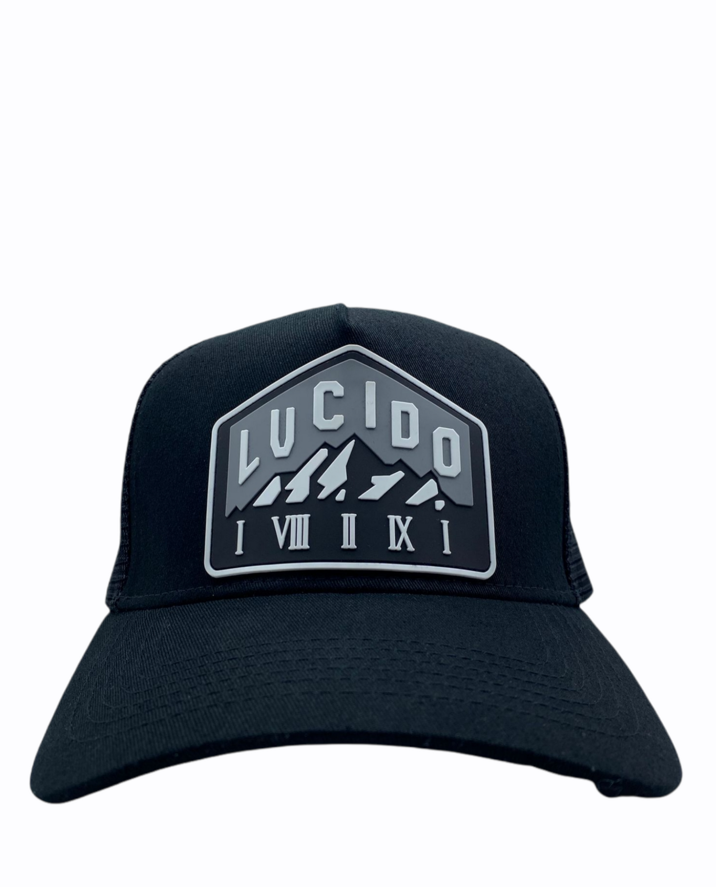 WHITE AND GREY MOUNTAIN TRUCKER