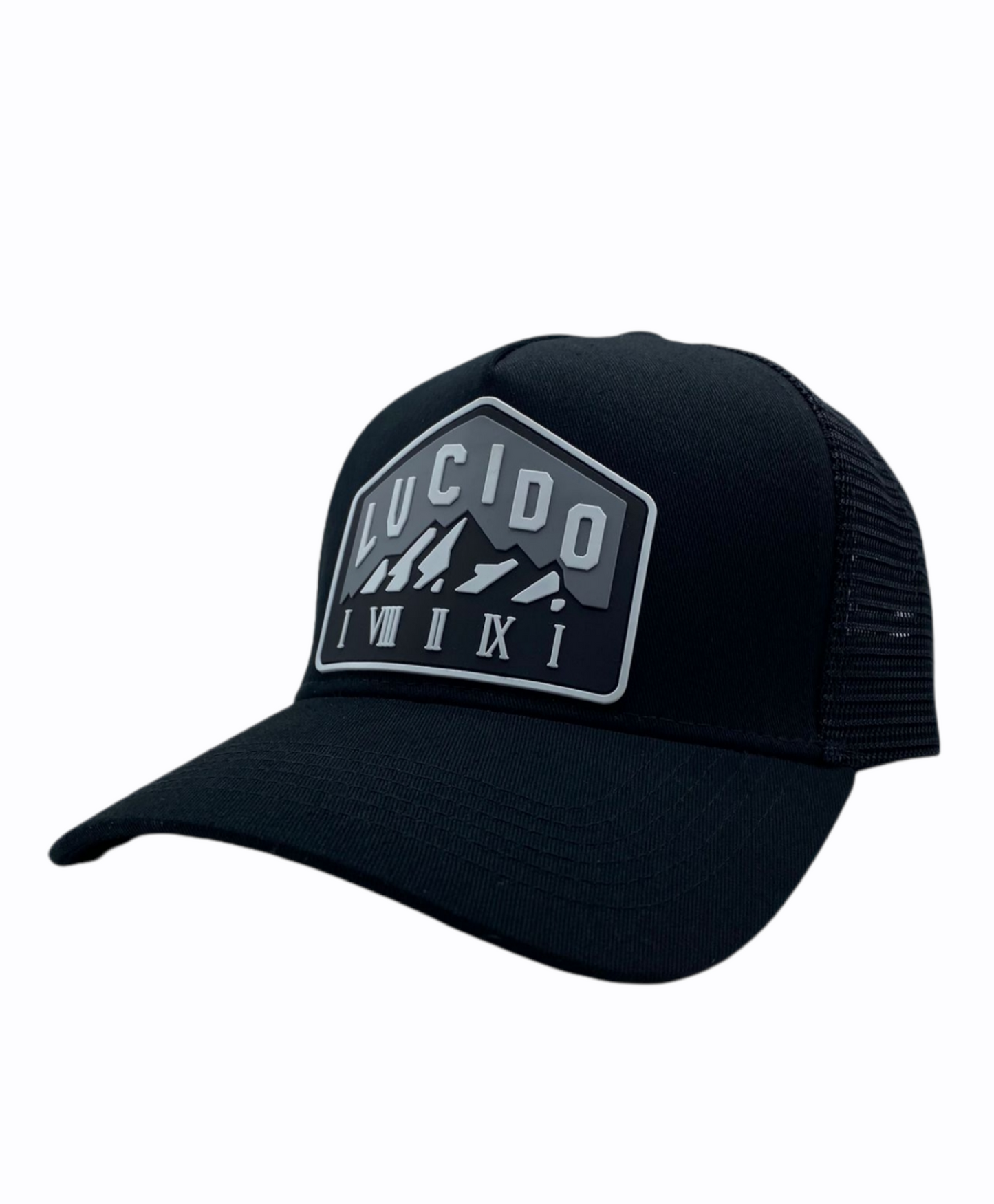 WHITE AND GREY MOUNTAIN TRUCKER